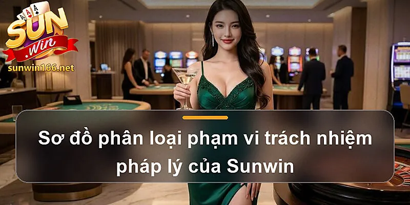 Sơ đồ phân loại phạm vi trách nhiệm pháp lý của Sunwin