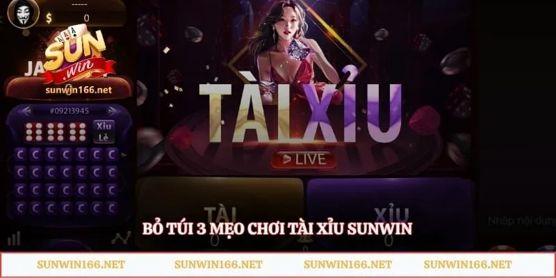 Mẹo Chơi Tài Xỉu Sunwin – Bí Quyết Soi Cầu Thắng Lớn 2 Bỏ túi 3 mẹo chơi tài xỉu Sunwin