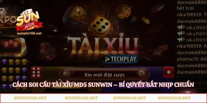 Cách Soi Cầu Tài Xỉu MD5 Sunwin – Bí Quyết Bắt Nhịp Chuẩn